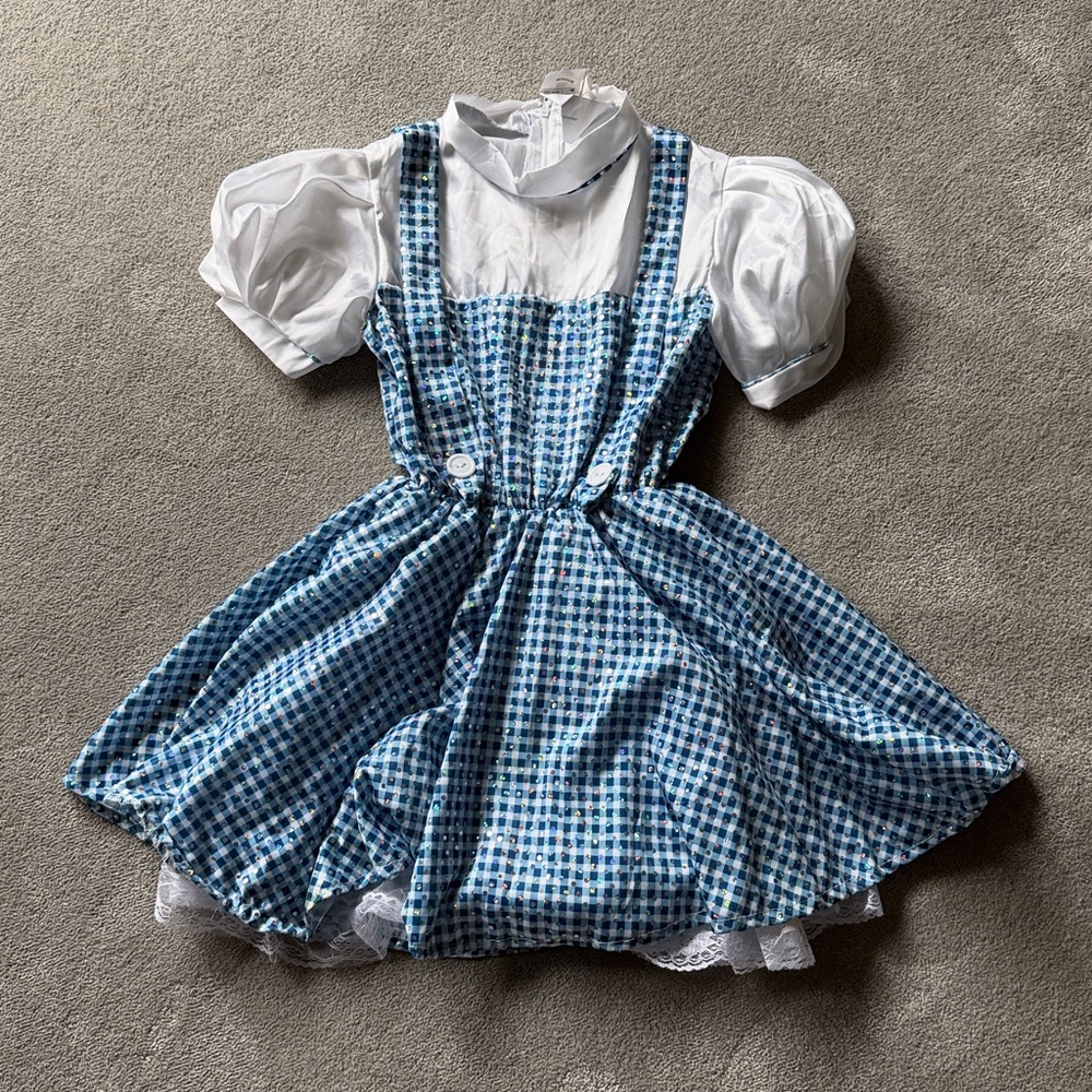 Dorothy Costume Dress worn once